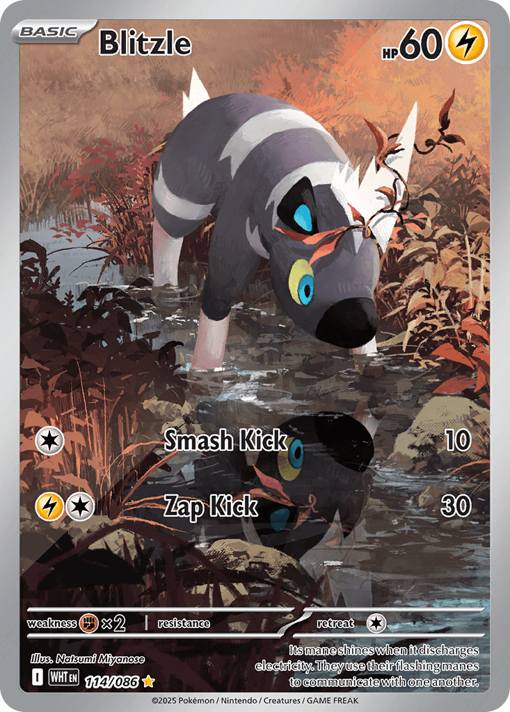 Blitzle Pokémon card