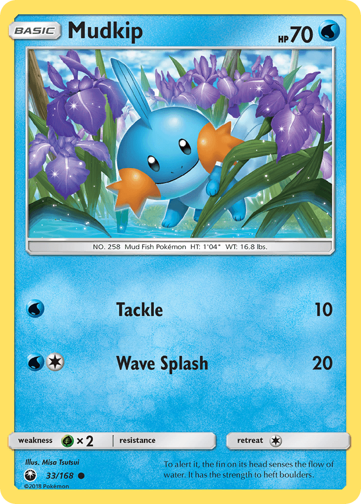 Mudkip Pokémon card