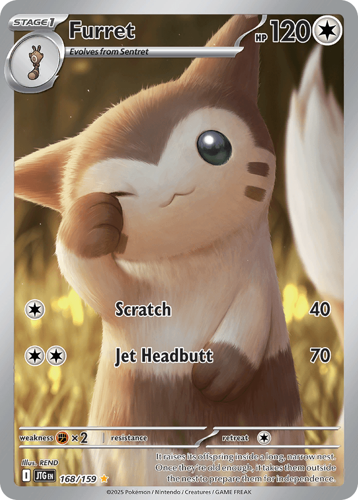 Furret Pokémon card