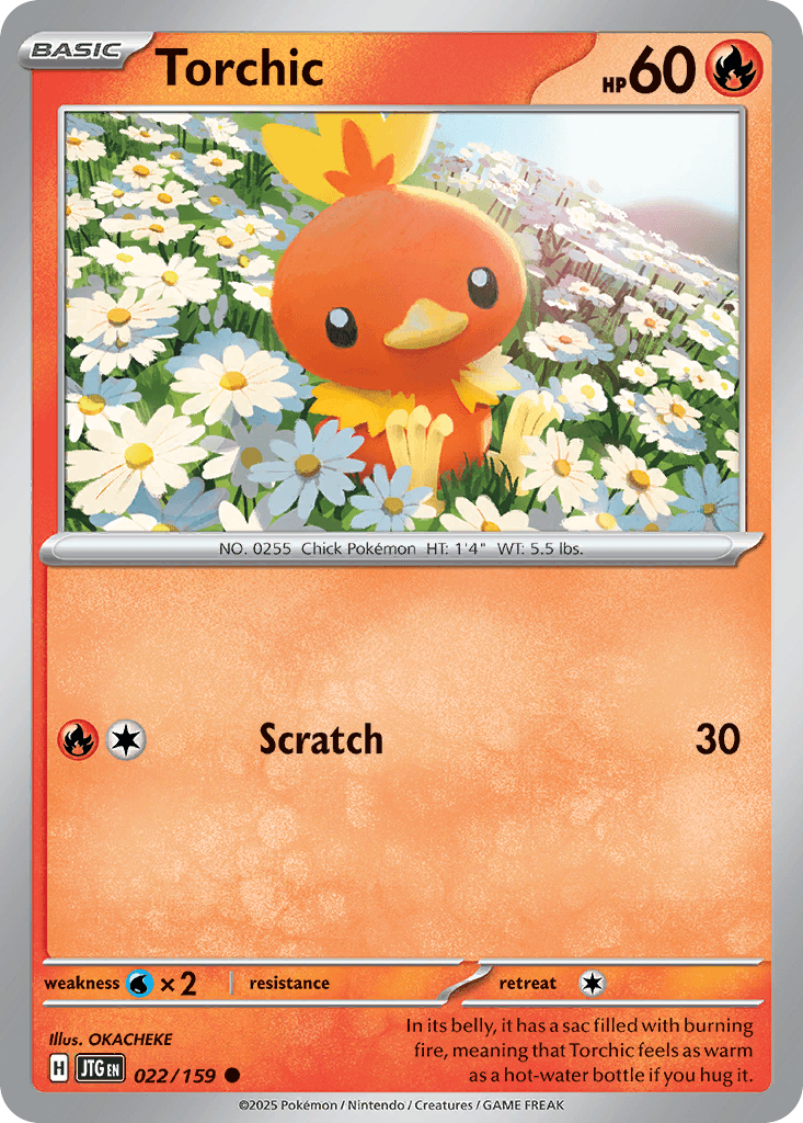 Torchic Pokémon card