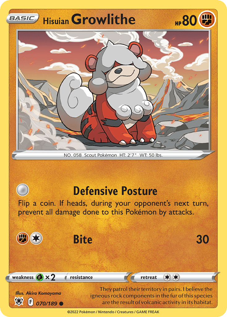 Hisuian Growlithe illustrated by Akira Komayama