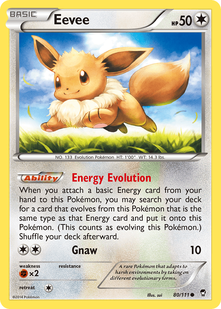Eevee from Furious Fists