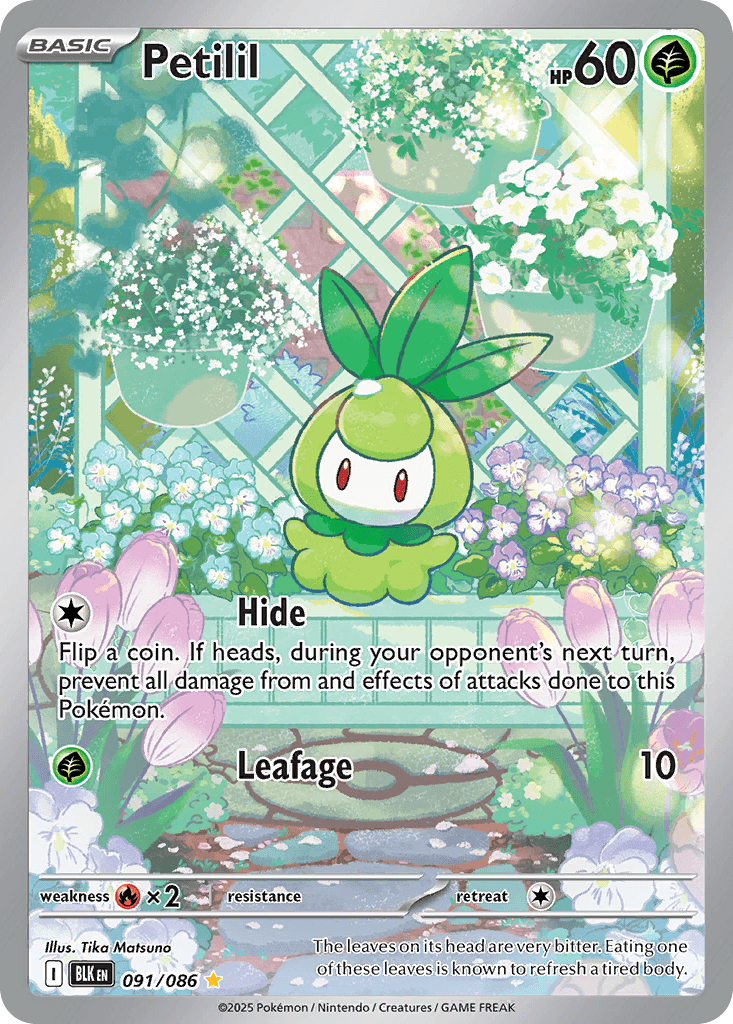Petilil Pokémon card