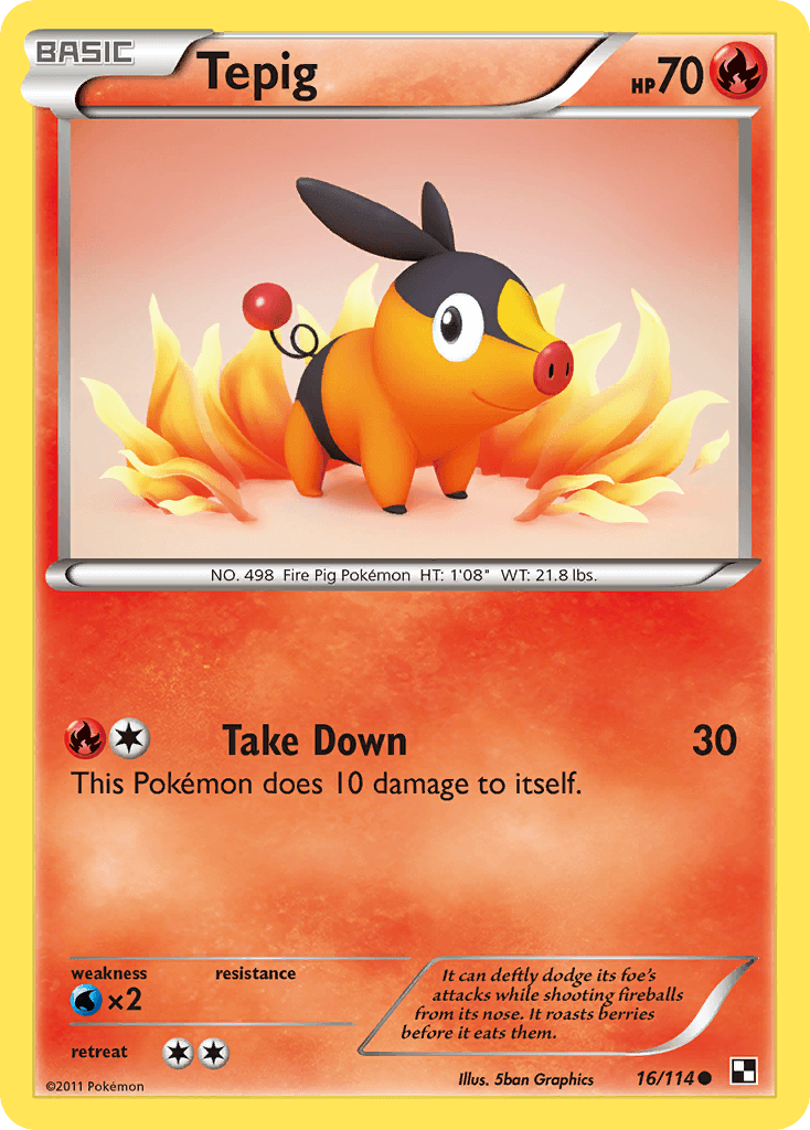 Tepig Pokémon card