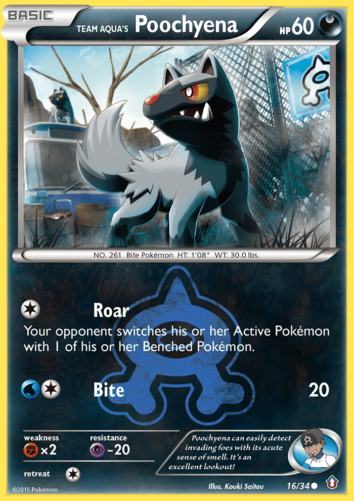 Team Aqua's Poochyena Pokémon card