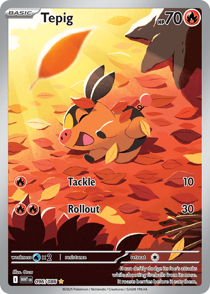 Tepig Pokémon card