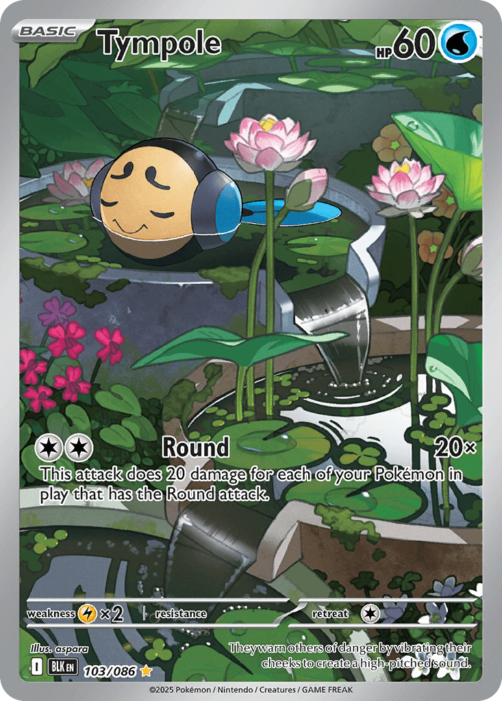 Tympole Pokémon card