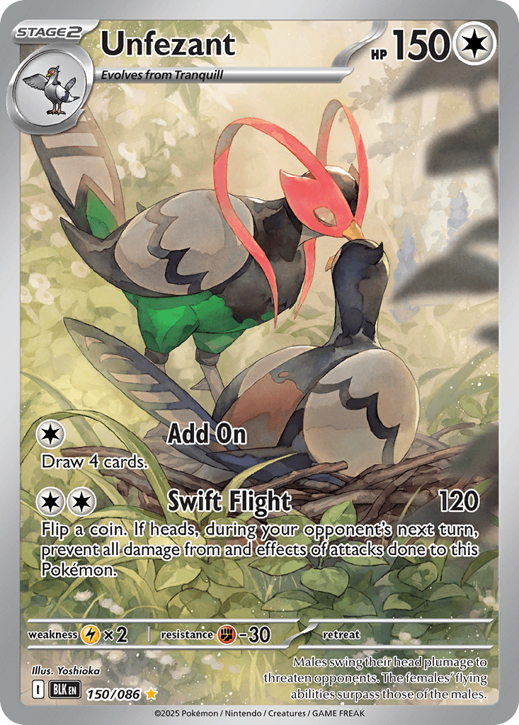 Unfezant Pokémon card