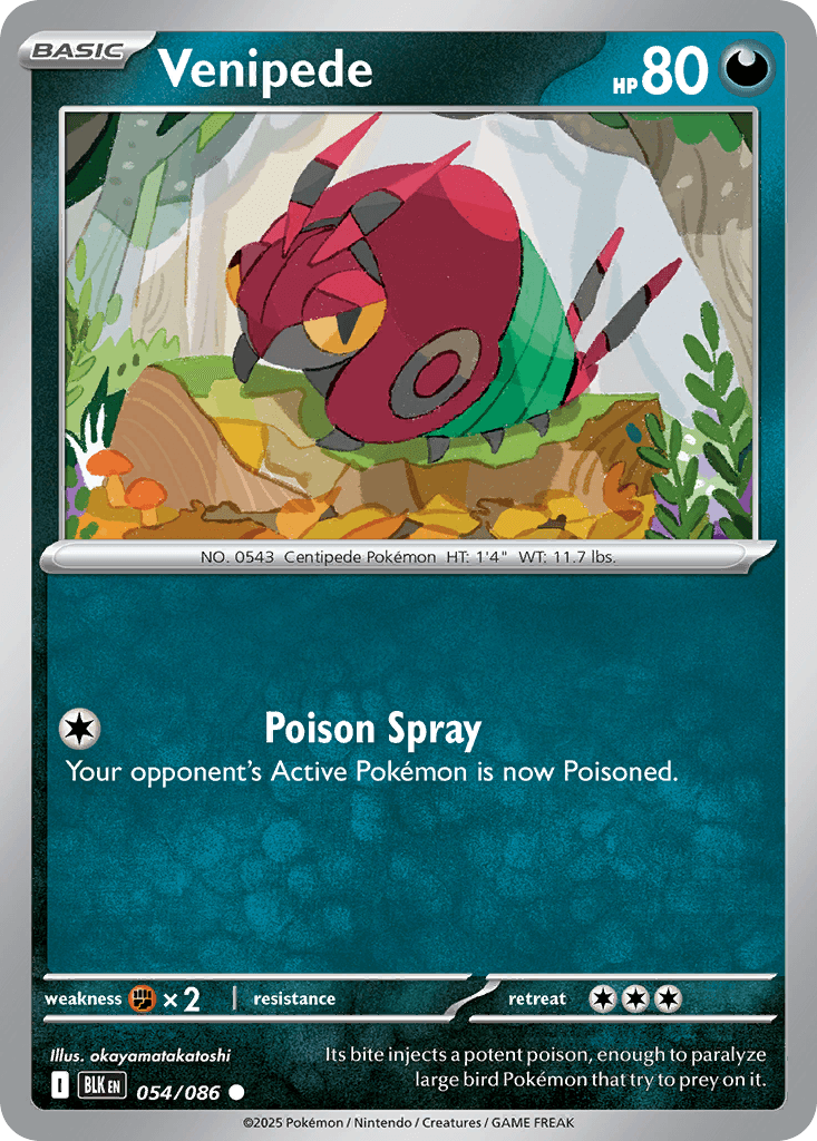 Venipede Pokémon card