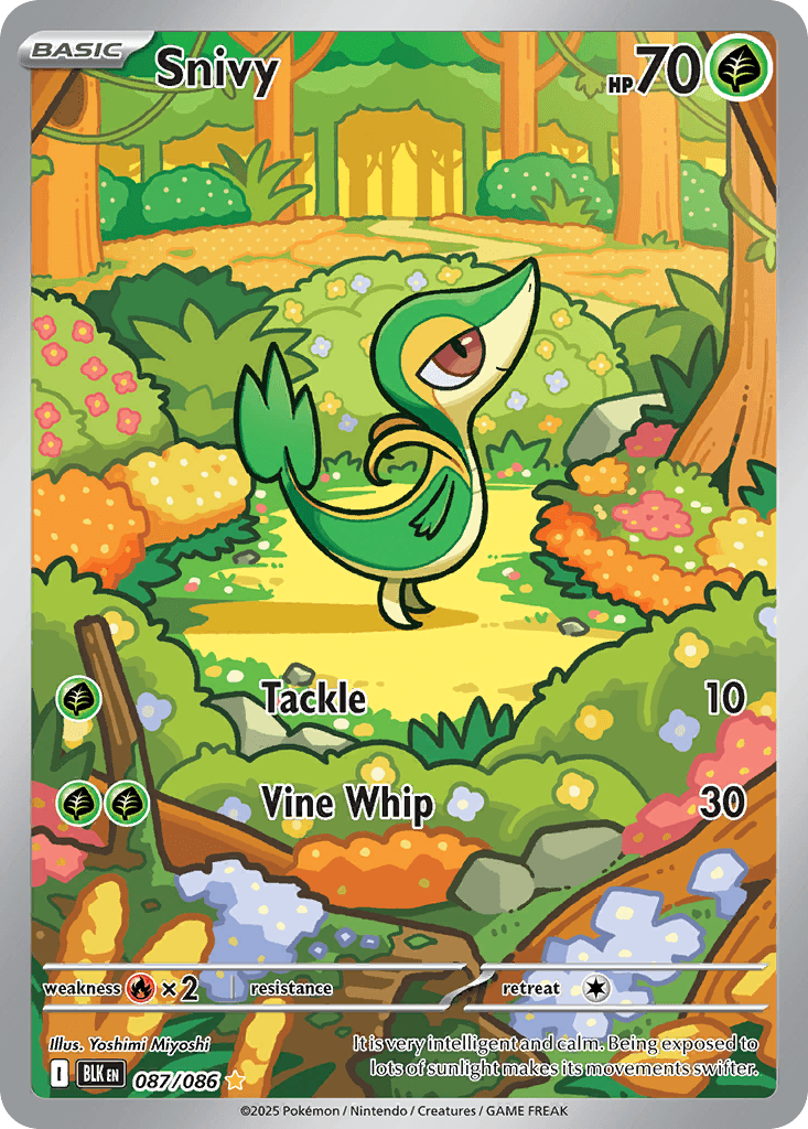 Snivy Pokémon card